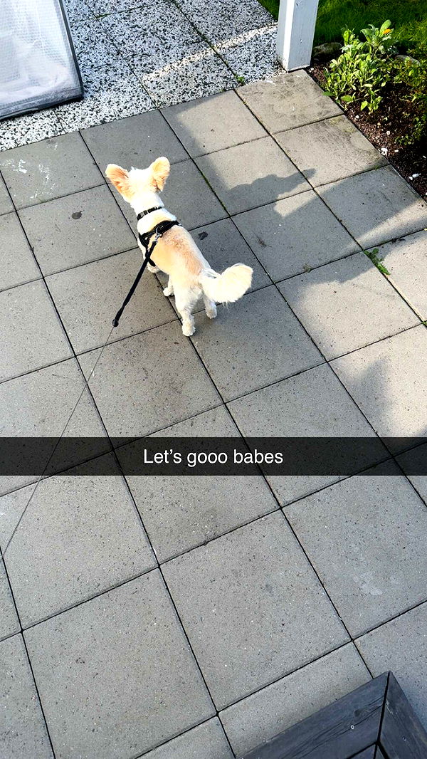 mathilda_bergs image ~ Altpins