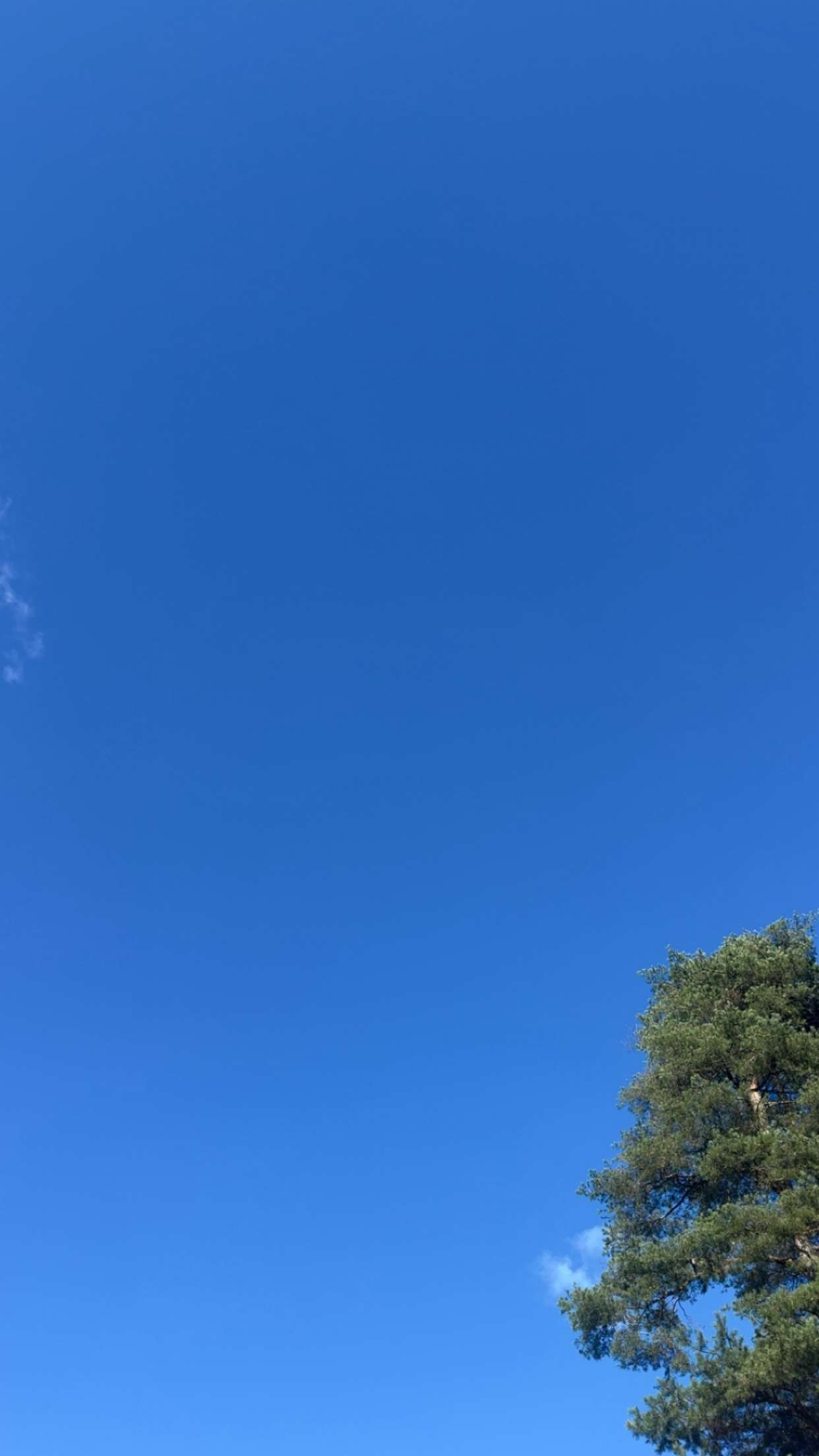 mathilda_bergs snapchat image archive image