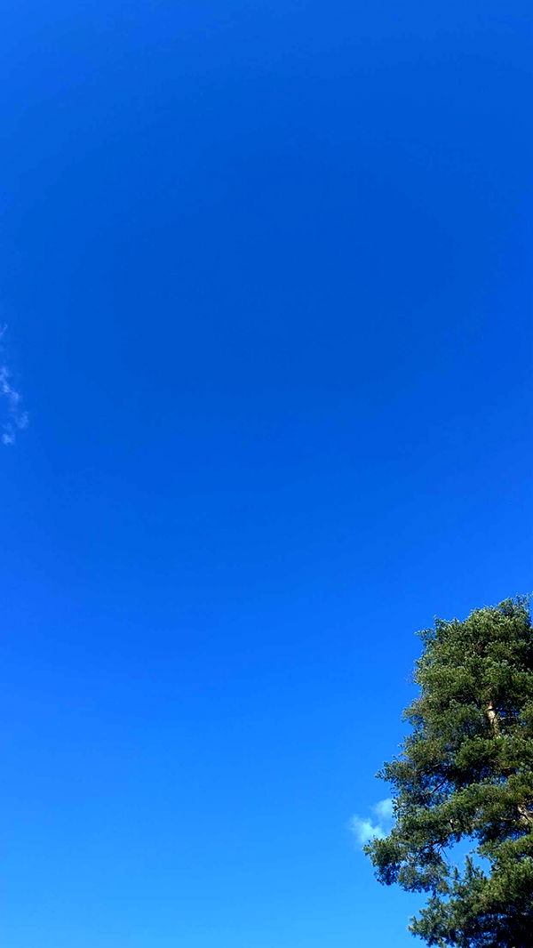 mathilda_bergs image ~ Altpins