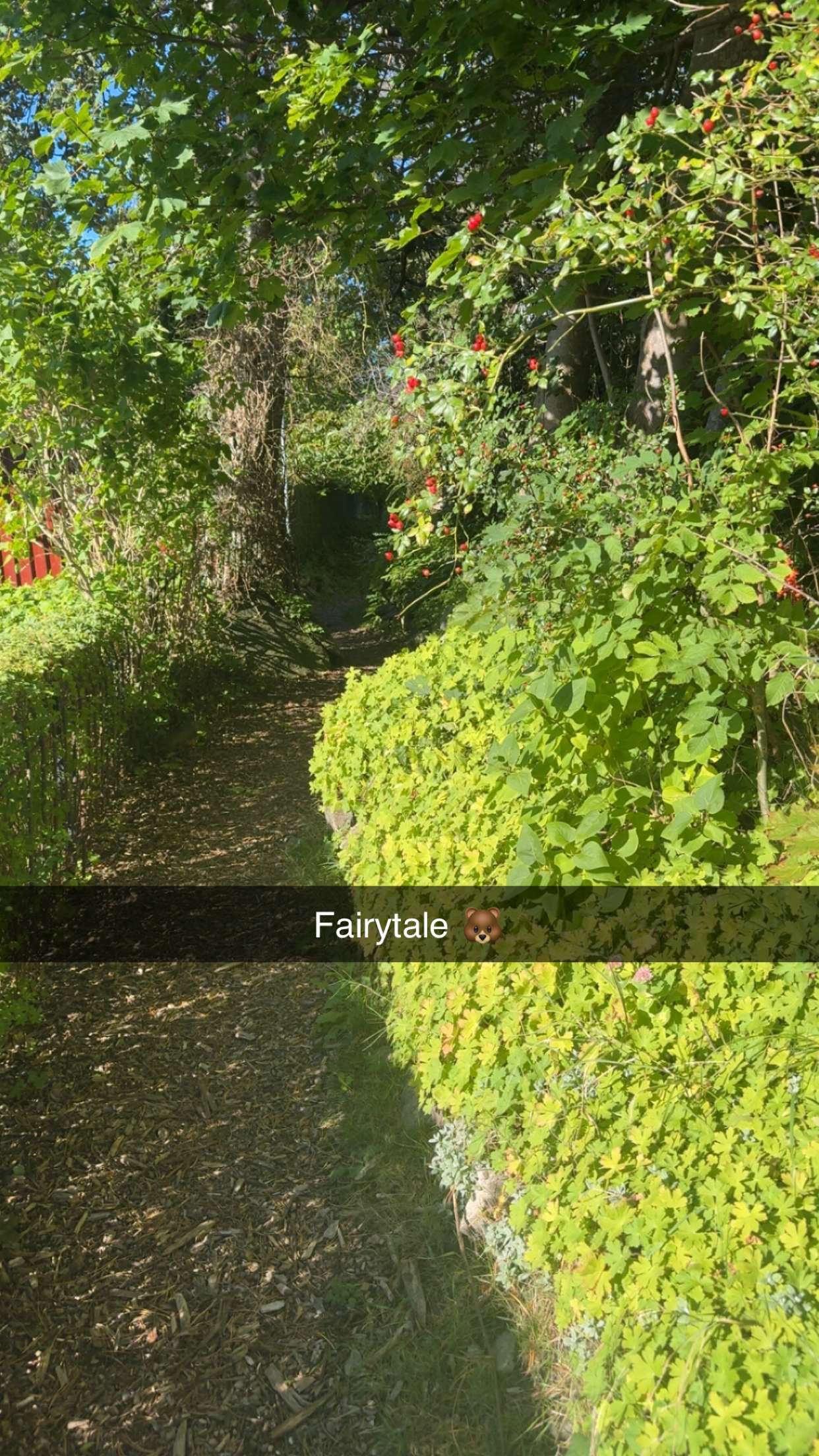 mathilda_bergs snapchat image archive image