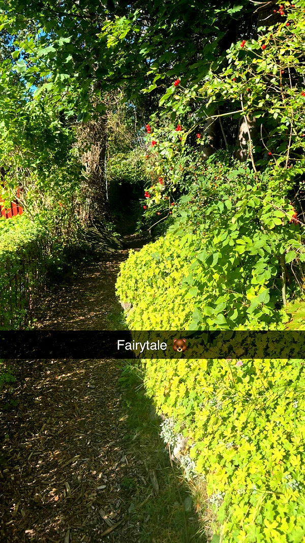 mathilda_bergs image ~ Altpins