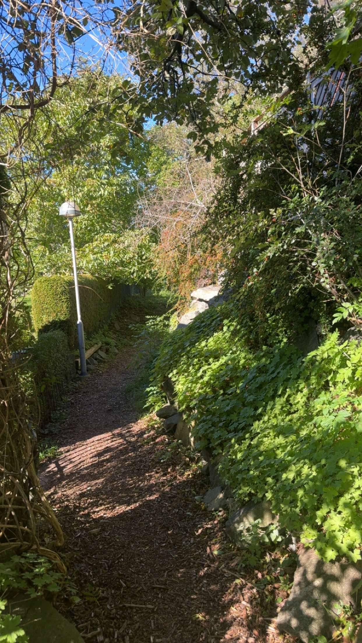 mathilda_bergs snapchat image archive image