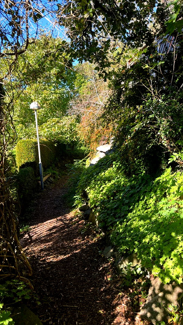 mathilda_bergs image ~ Altpins