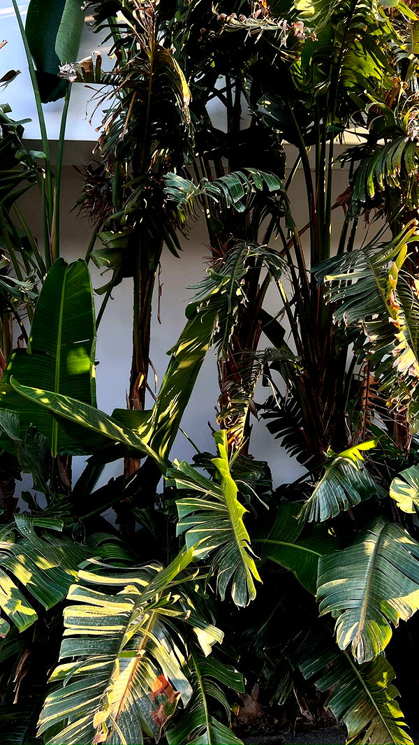 mathilda_bergs image ~ Altpins