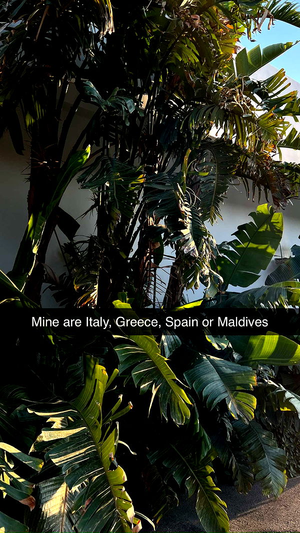 mathilda_bergs image ~ Altpins