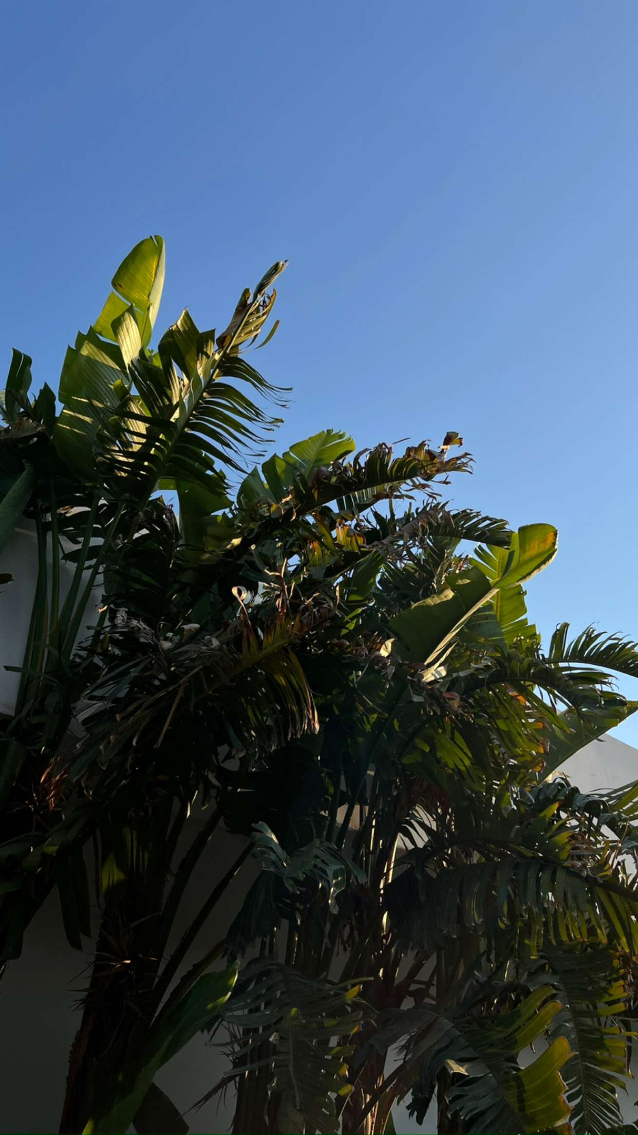 mathilda_bergs snapchat image archive image