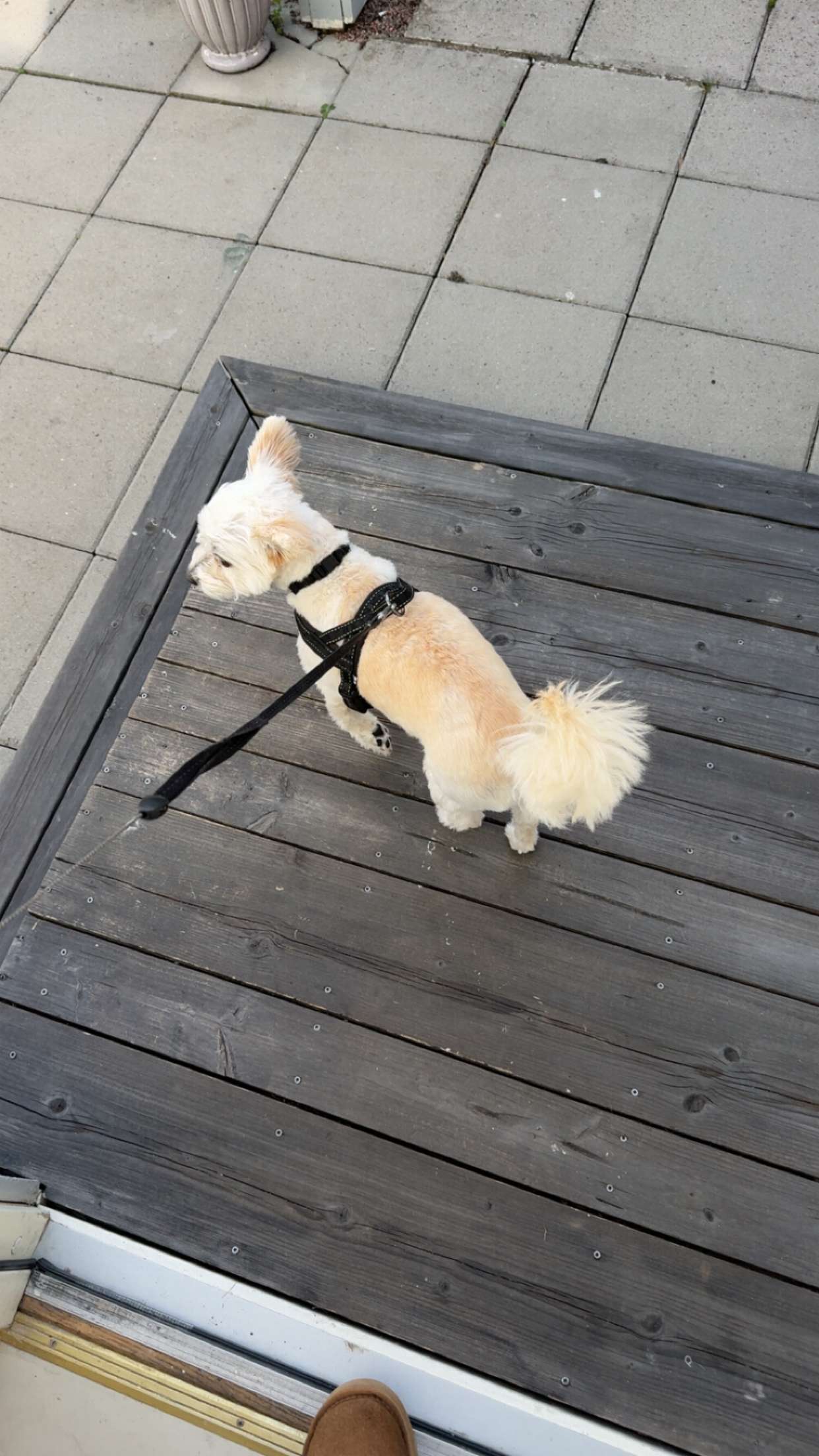 mathilda_bergs snapchat image archive image