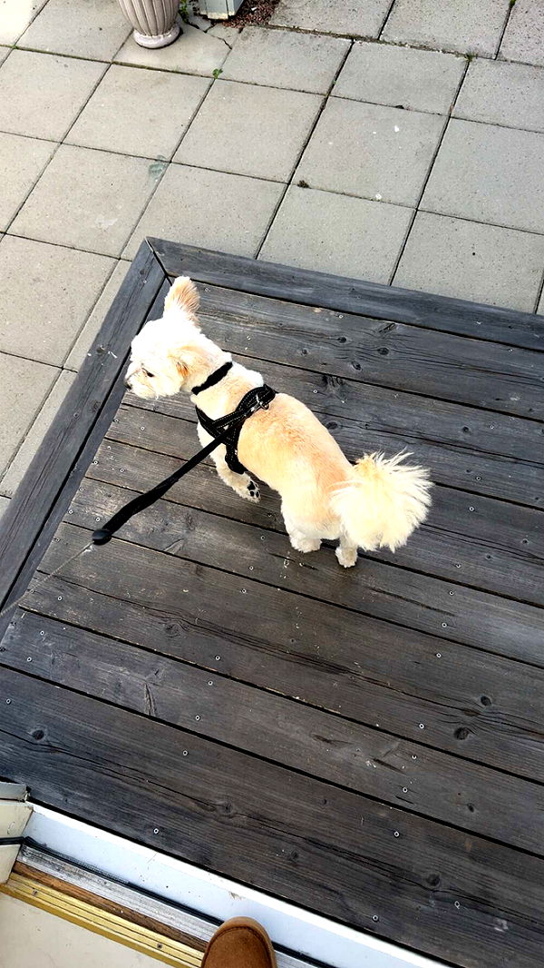 mathilda_bergs image ~ Altpins