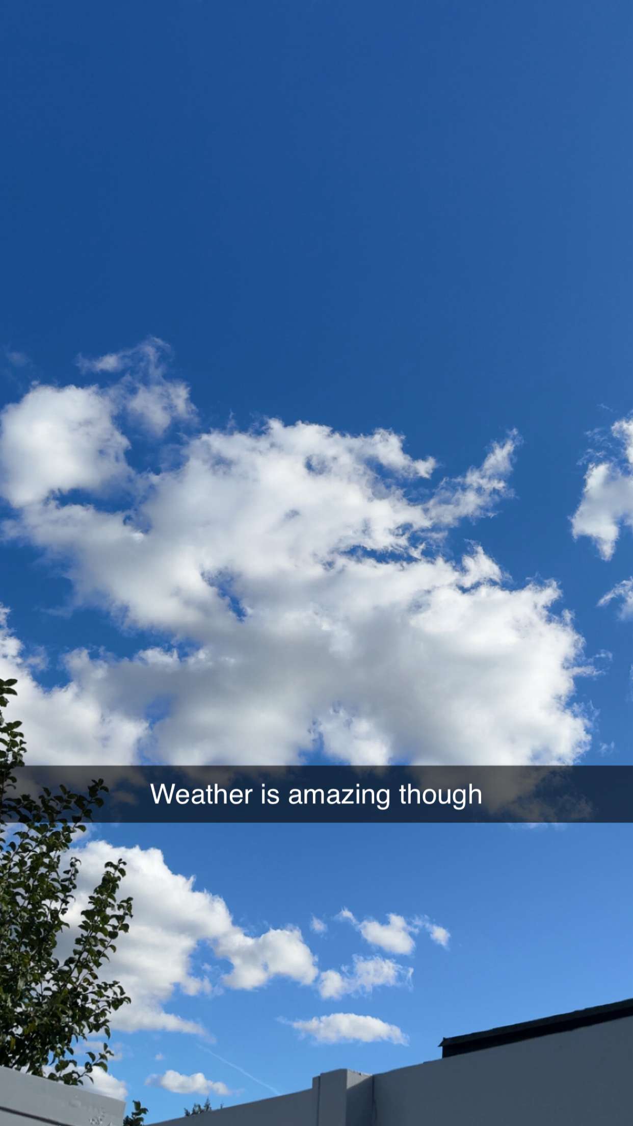 mathilda_bergs snapchat image archive image