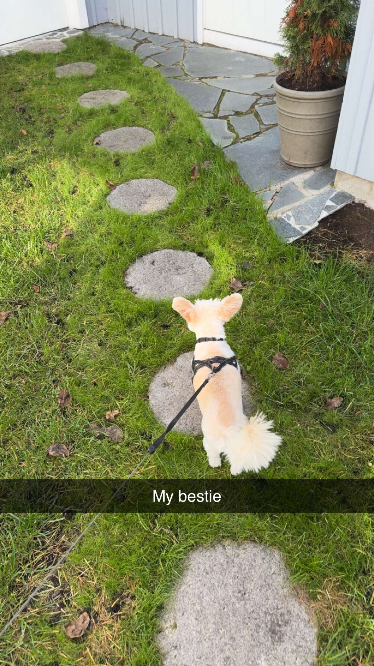 mathilda_bergs snapchat image archive image