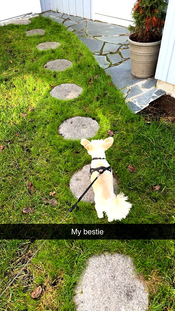 mathilda_bergs image ~ Altpins