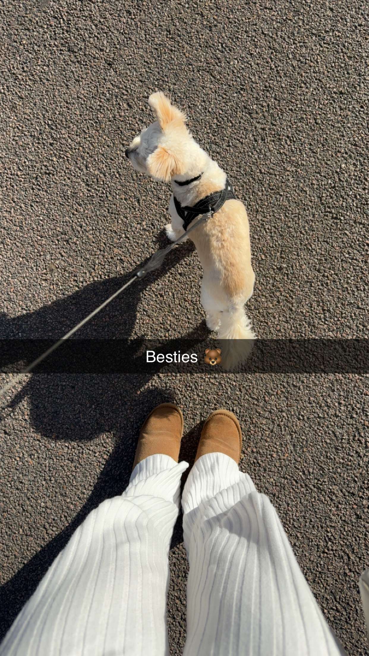 mathilda_bergs snapchat image archive image