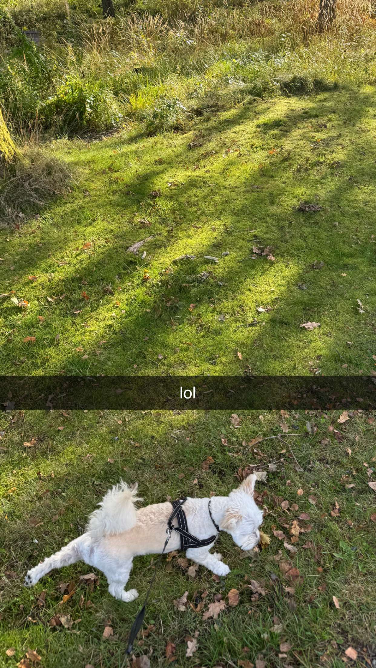 mathilda_bergs snapchat image archive image