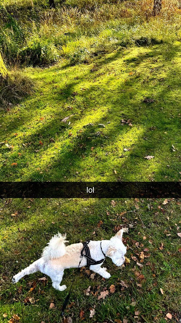 mathilda_bergs image ~ Altpins