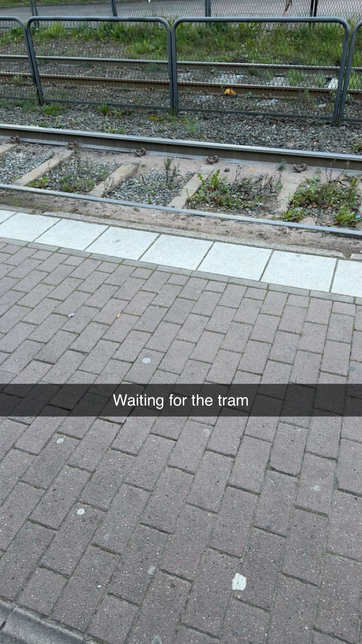 mathilda_bergs snapchat image archive image