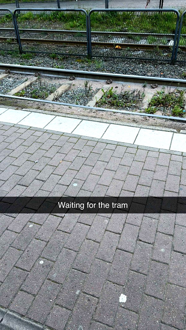 mathilda_bergs image ~ Altpins