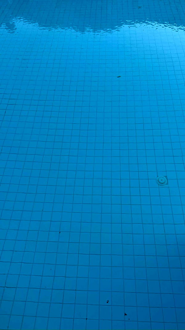 mathilda_bergs image ~ Altpins