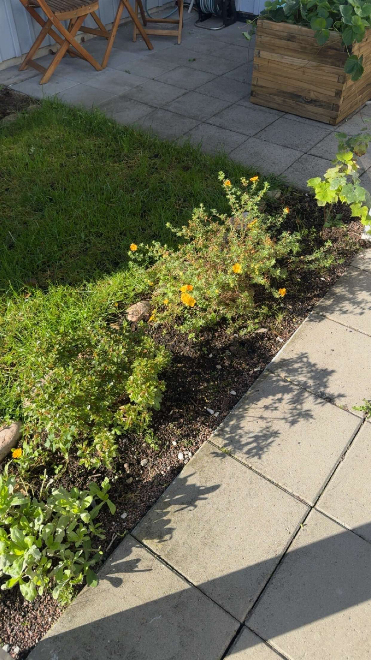 mathilda_bergs snapchat image archive image