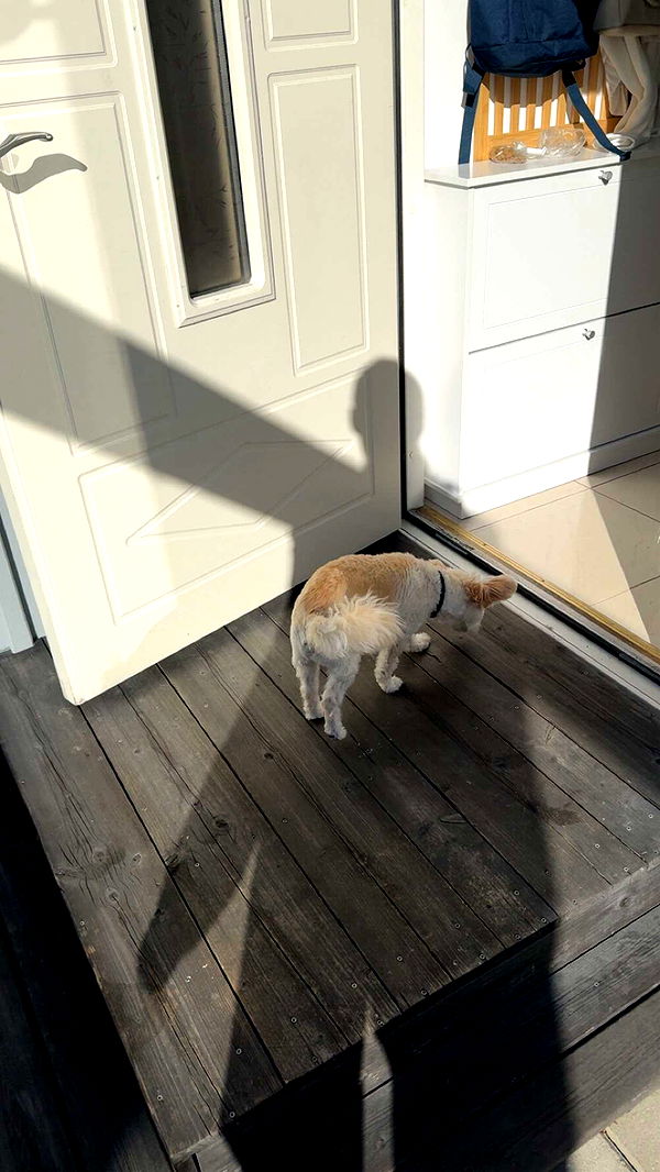 mathilda_bergs image ~ Altpins