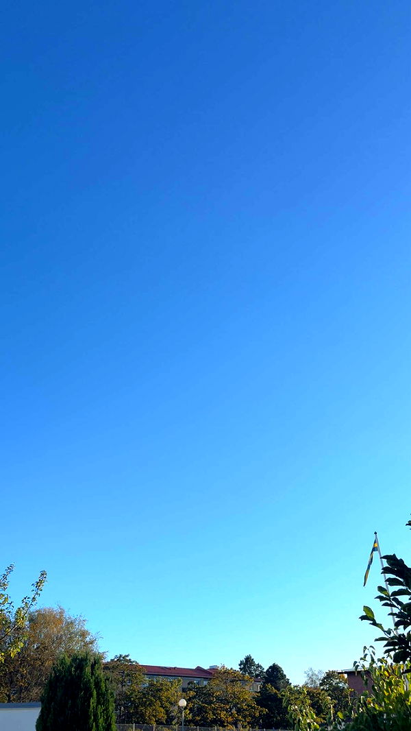 mathilda_bergs image ~ Altpins