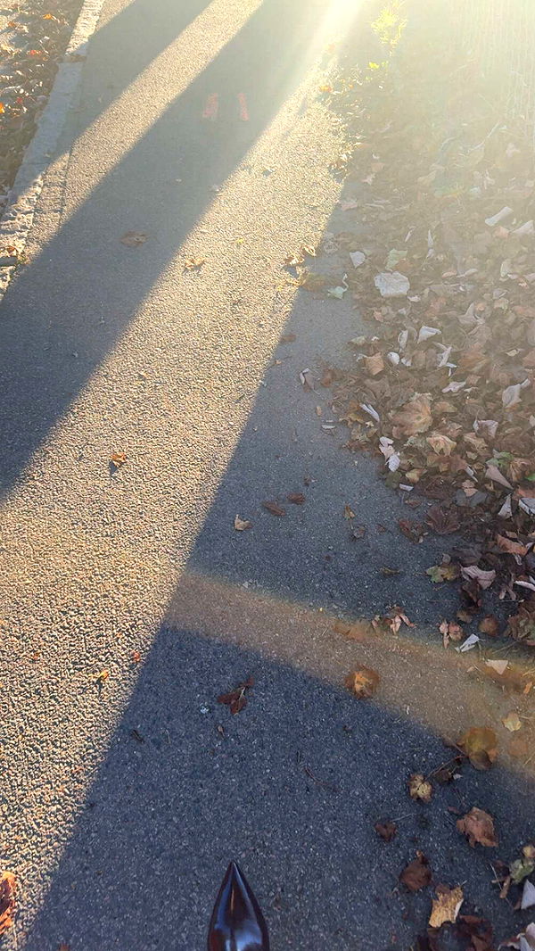 mathilda_bergs image ~ Altpins