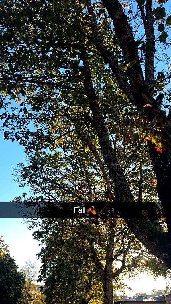 mathilda_bergs image ~ Altpins