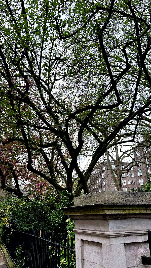 mathilda_bergs image ~ Altpins