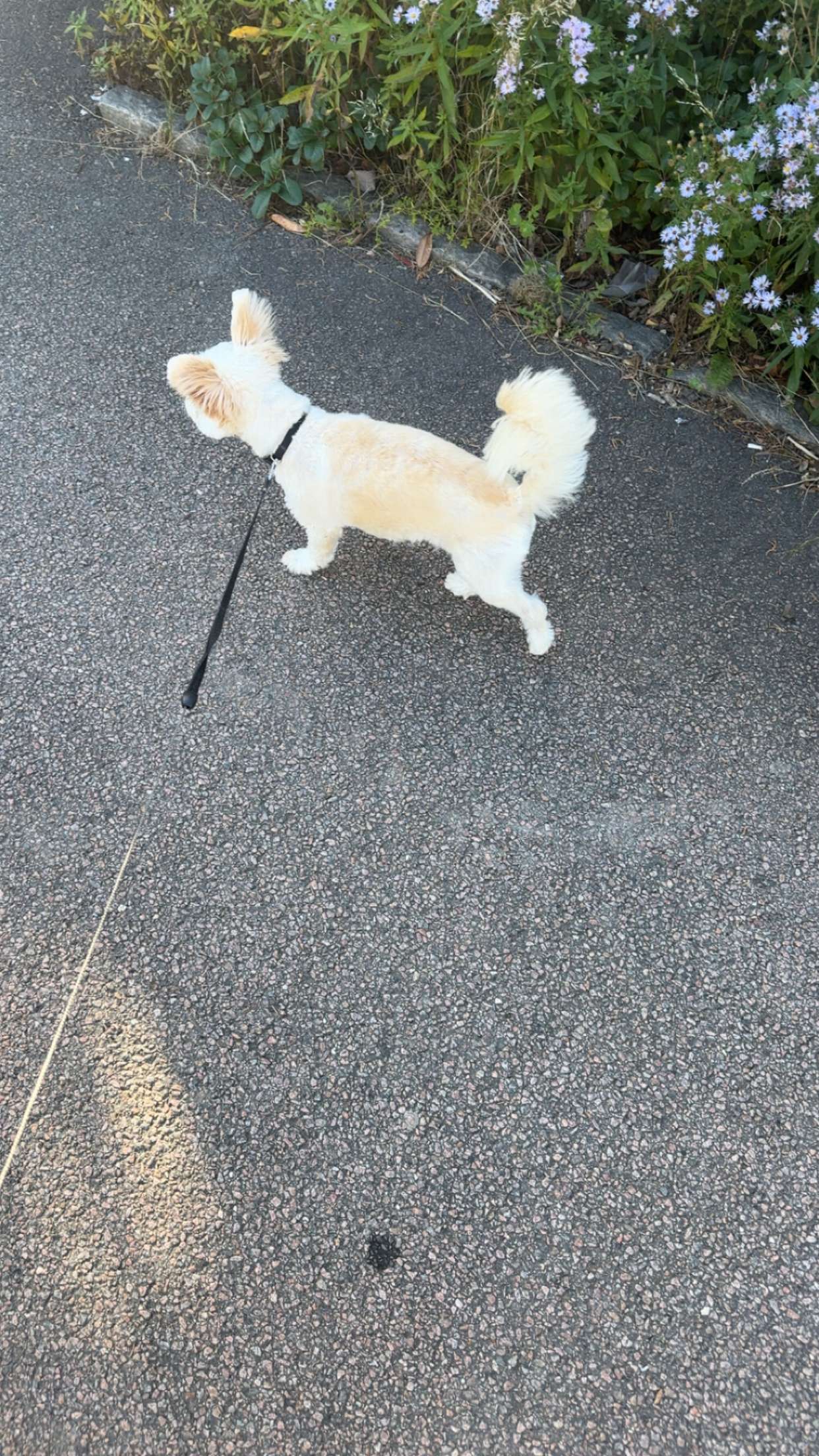 mathilda_bergs snapchat image archive image