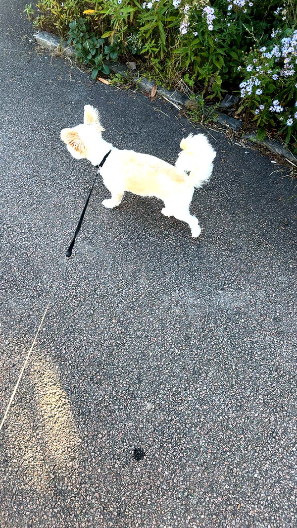 mathilda_bergs image ~ Altpins