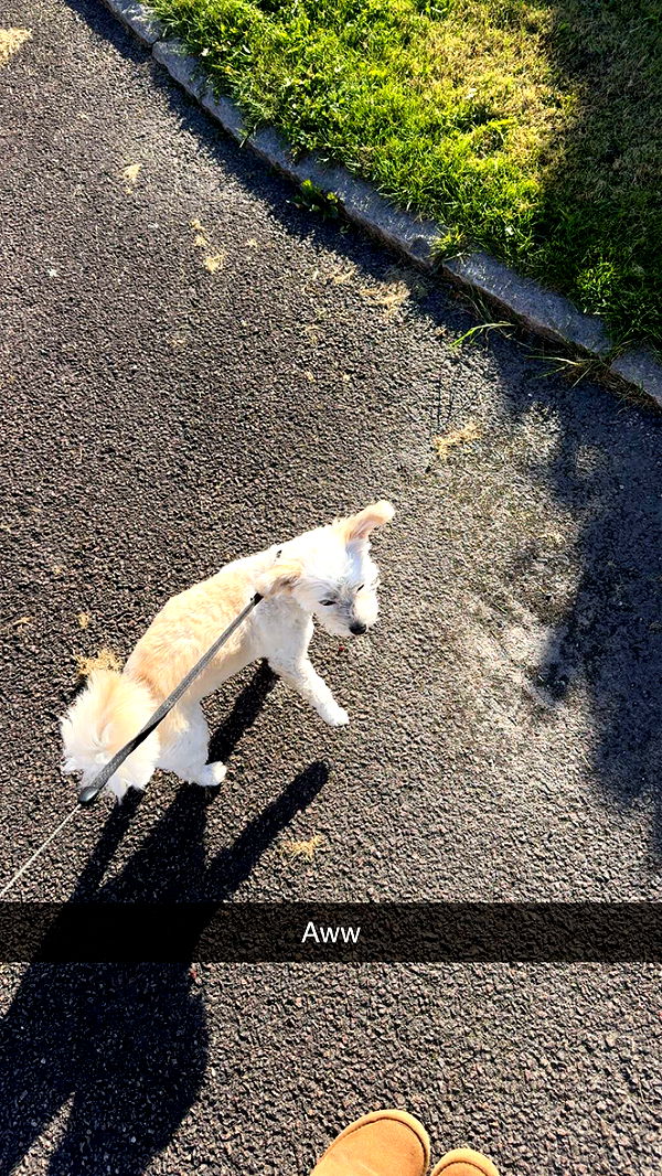 mathilda_bergs image ~ Altpins