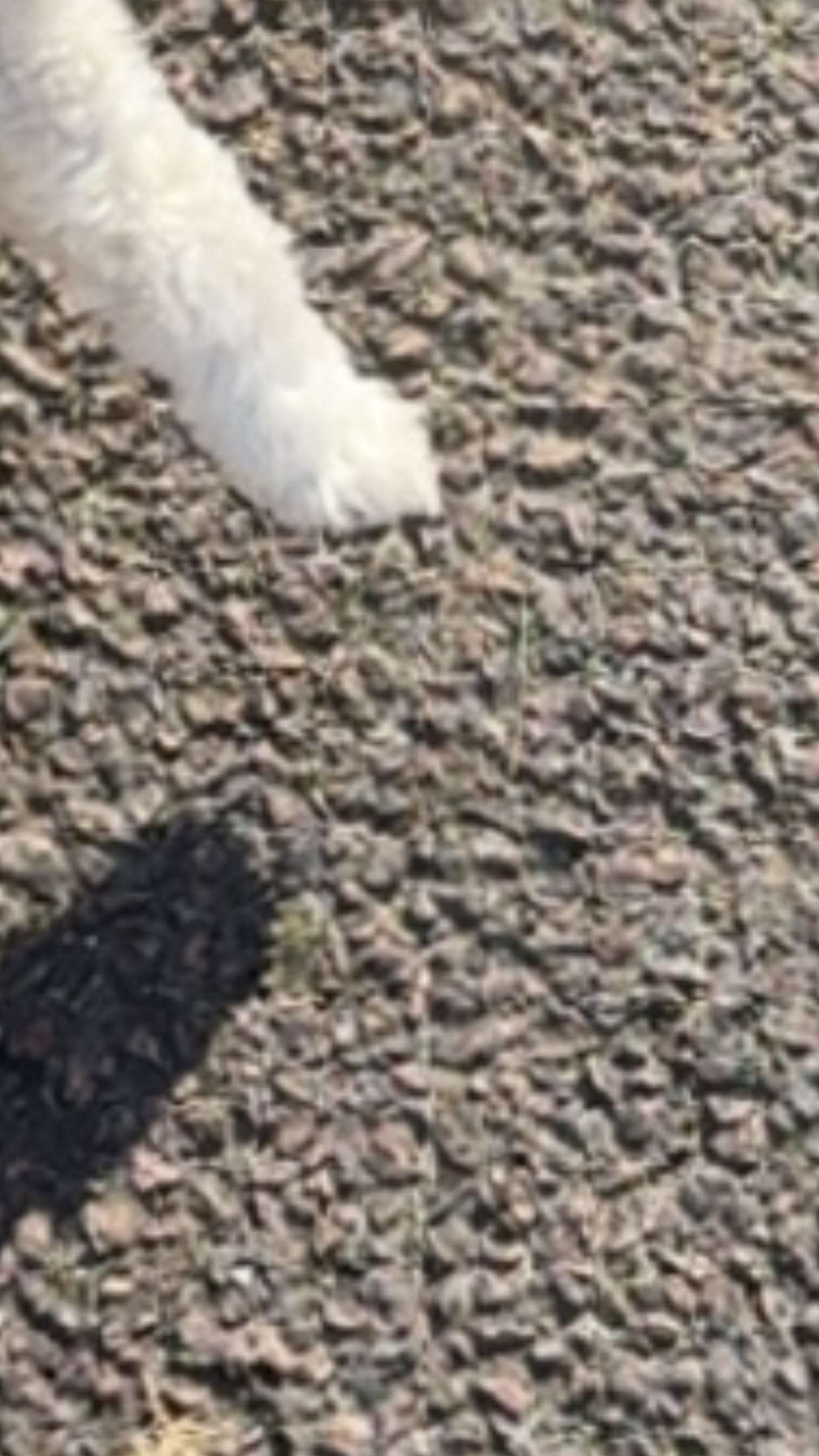 mathilda_bergs snapchat image archive image