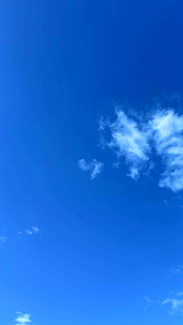 mathilda_bergs image ~ Altpins