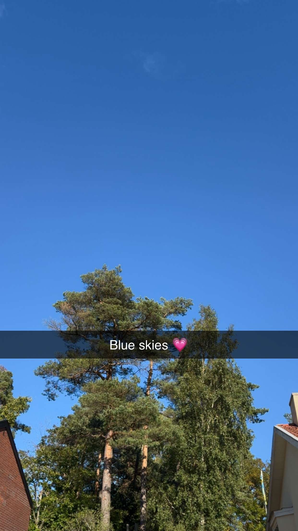 mathilda_bergs snapchat image archive image