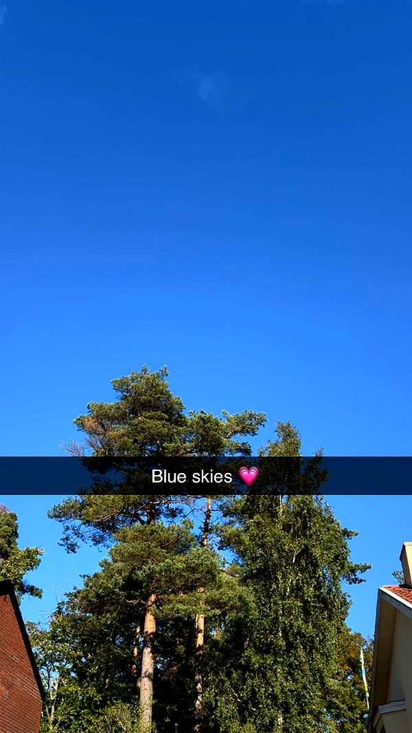 mathilda_bergs image ~ Altpins