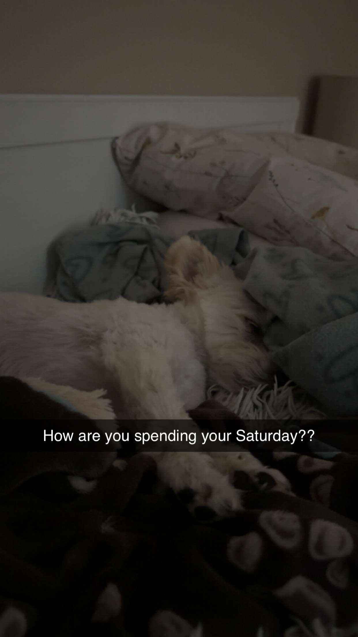 mathilda_bergs snapchat image archive image