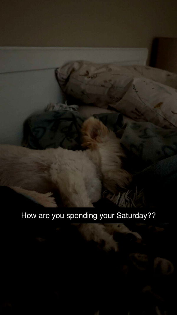 mathilda_bergs image ~ Altpins