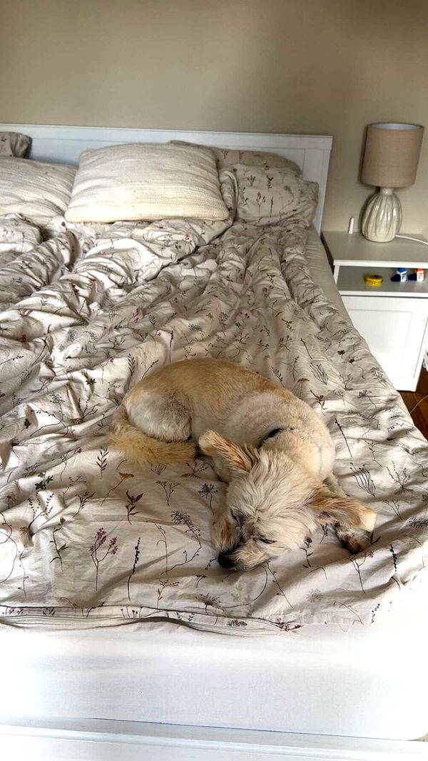 mathilda_bergs image ~ Altpins