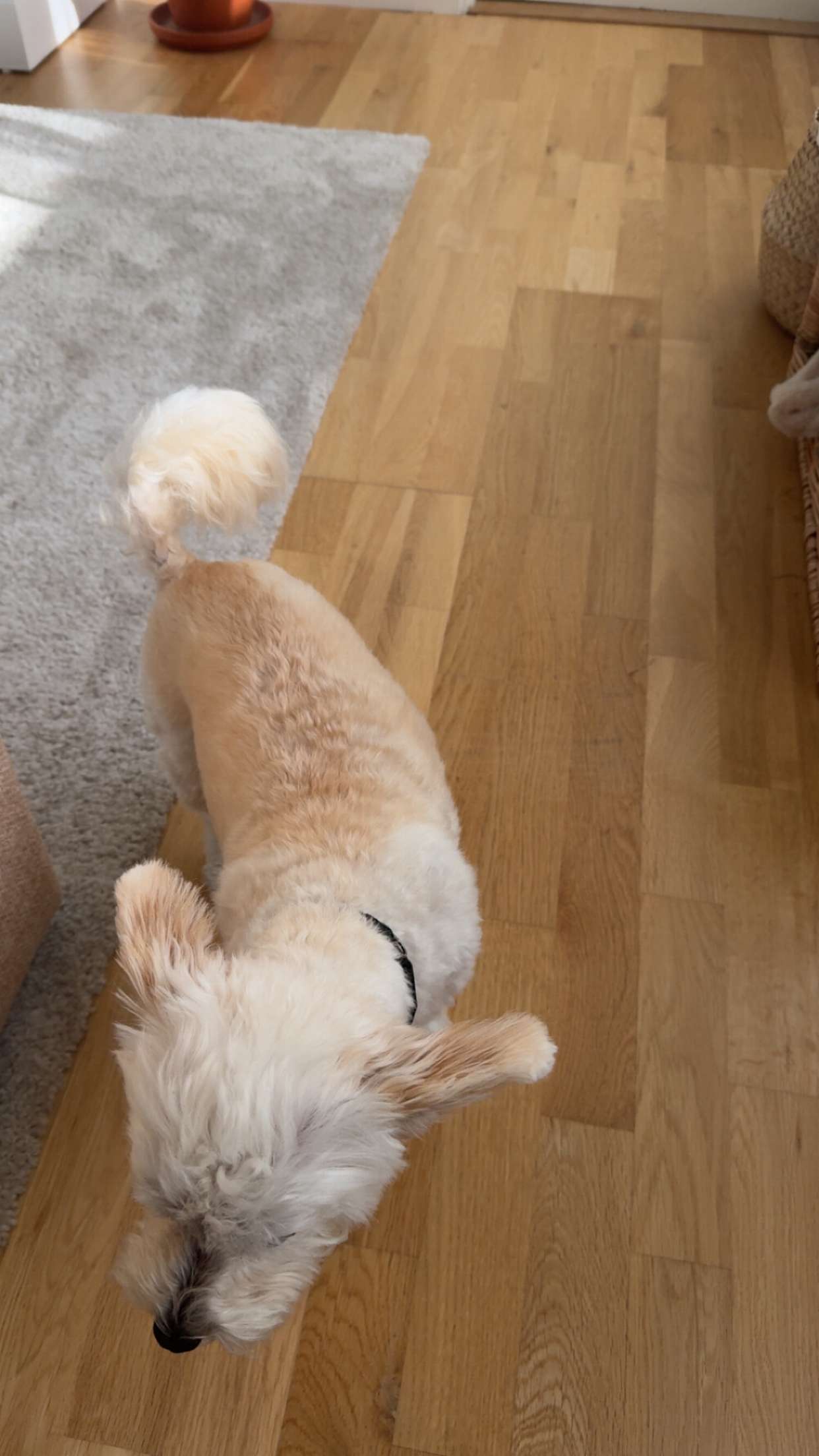 mathilda_bergs snapchat image archive image