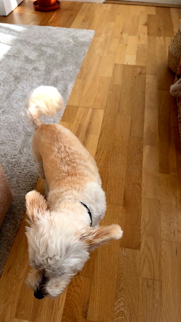 mathilda_bergs image ~ Altpins