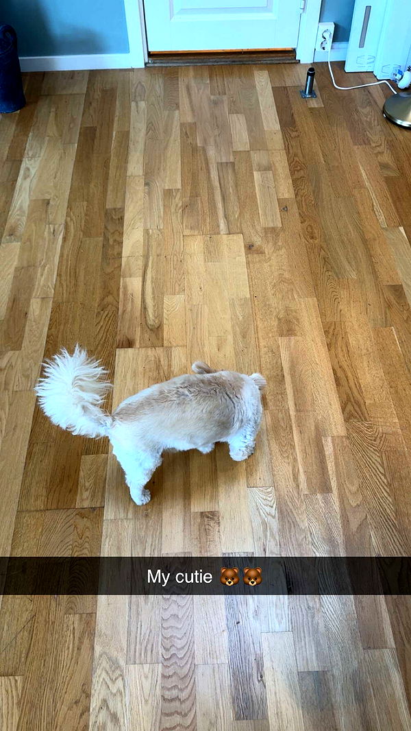 mathilda_bergs image ~ Altpins