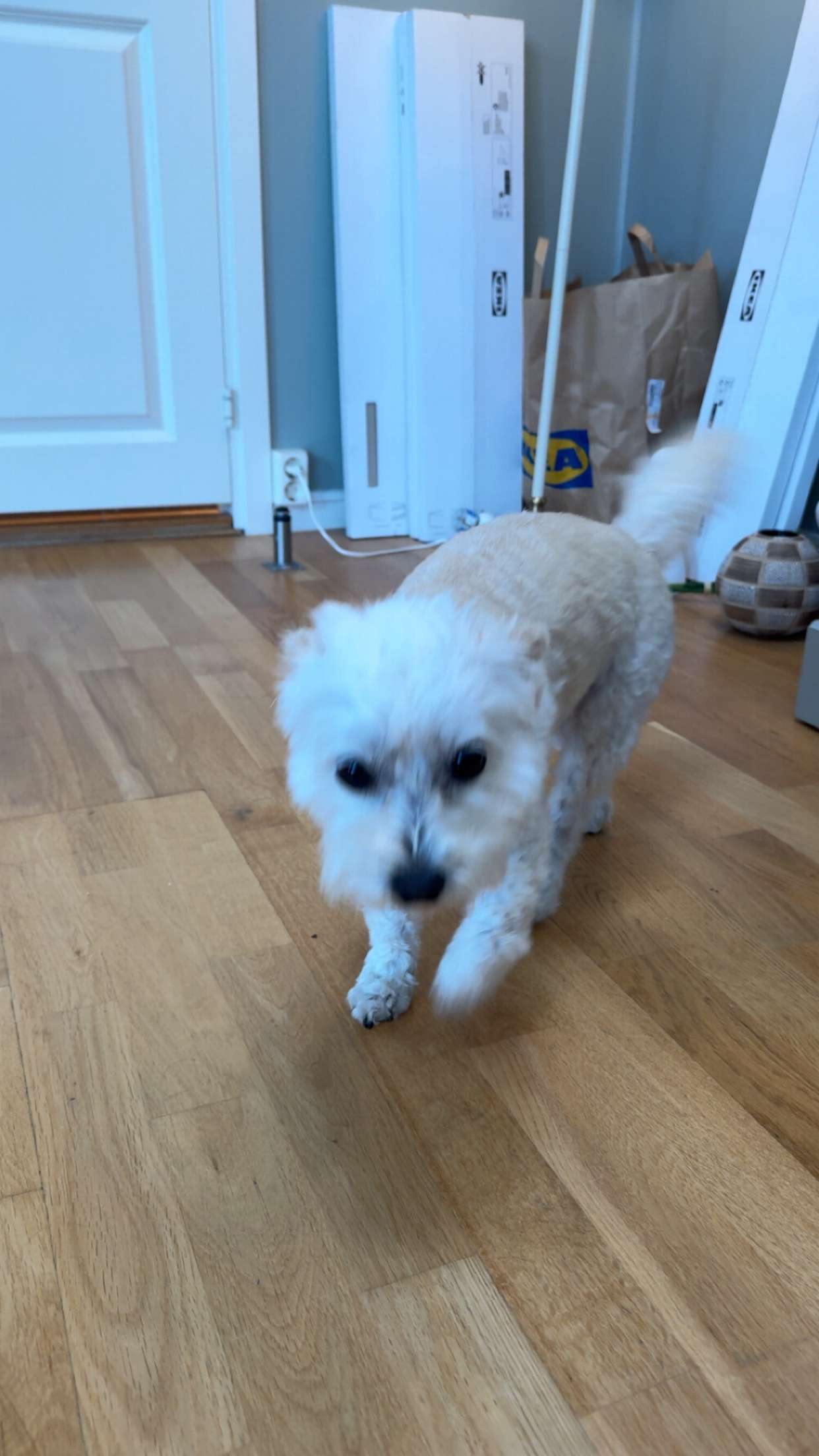 mathilda_bergs snapchat image archive image