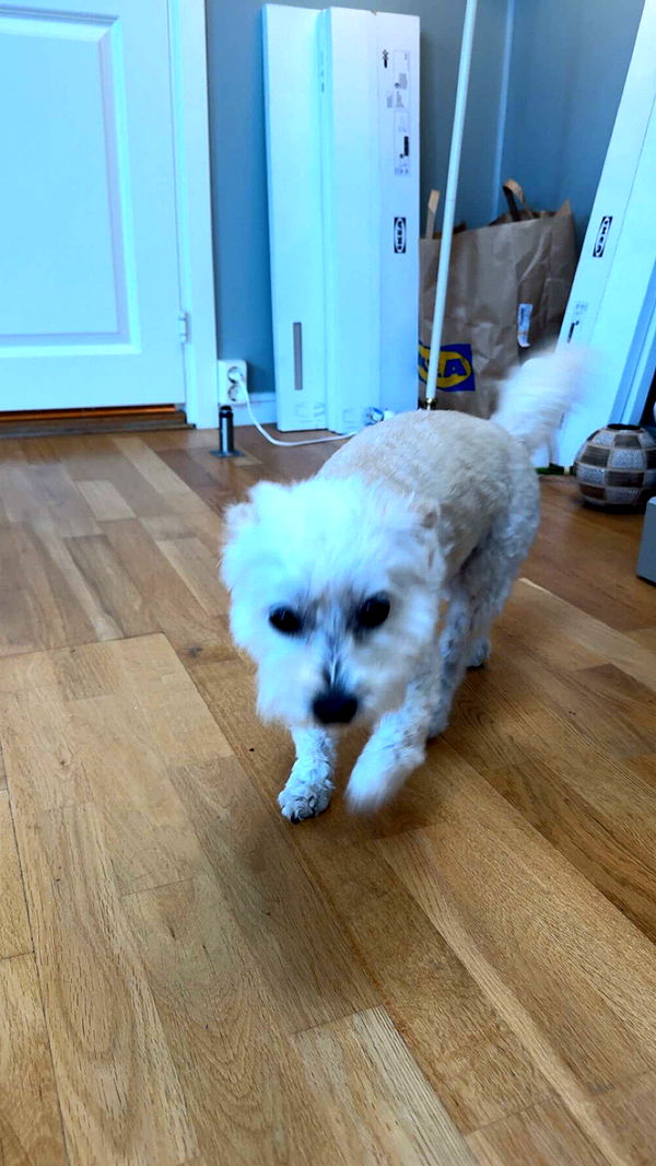 mathilda_bergs image ~ Altpins