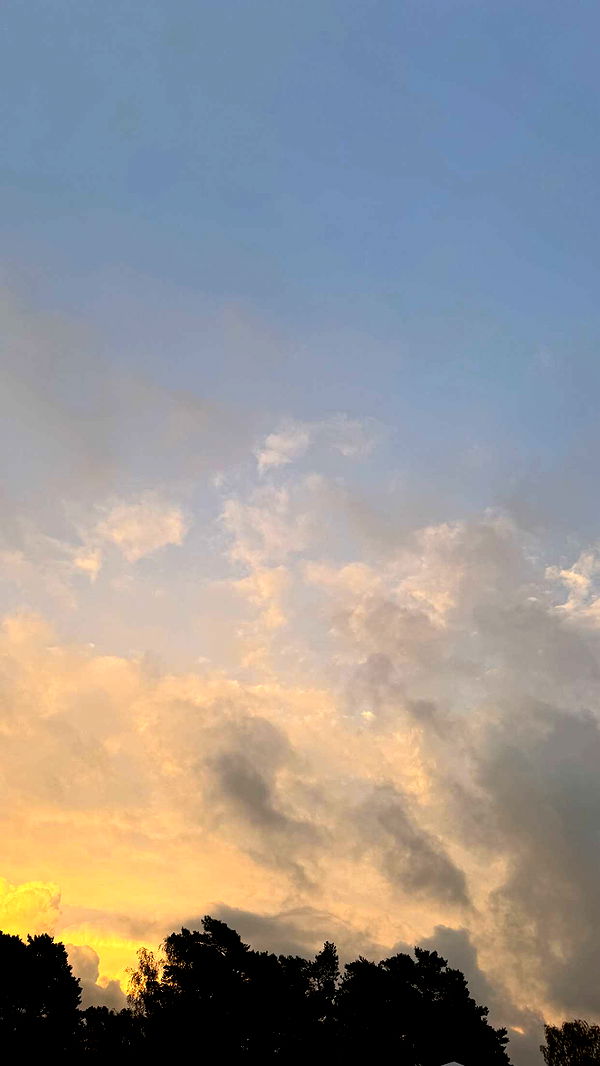 mathilda_bergs image ~ Altpins