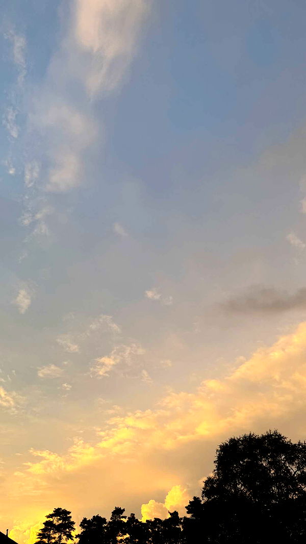 mathilda_bergs image ~ Altpins