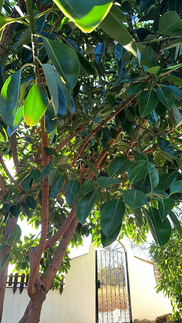 mathilda_bergs image ~ Altpins