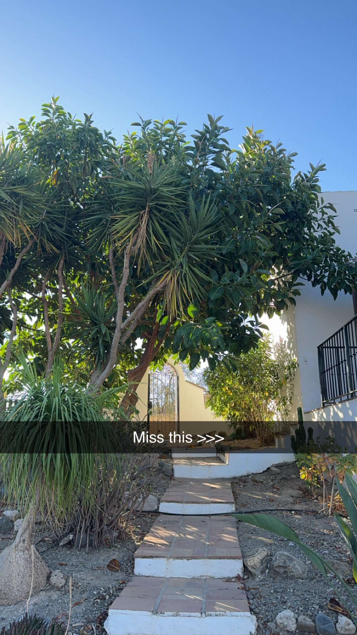 mathilda_bergs snapchat image archive image