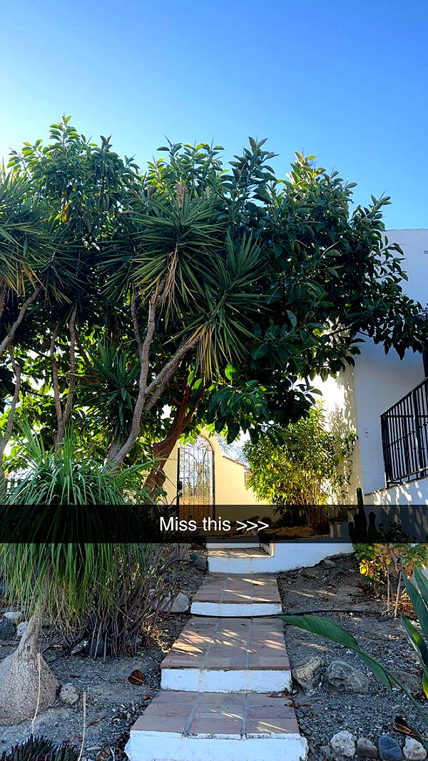 mathilda_bergs image ~ Altpins