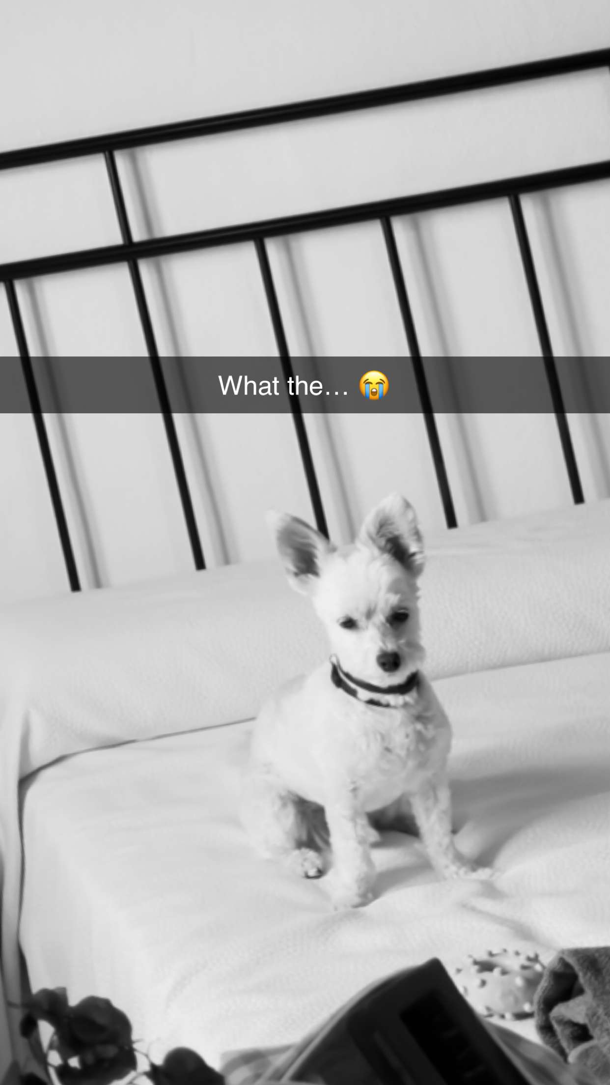 mathilda_bergs snapchat image archive image