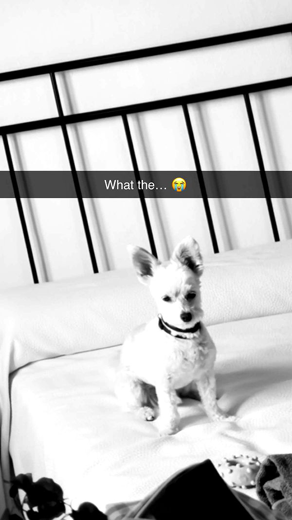 mathilda_bergs image ~ Altpins