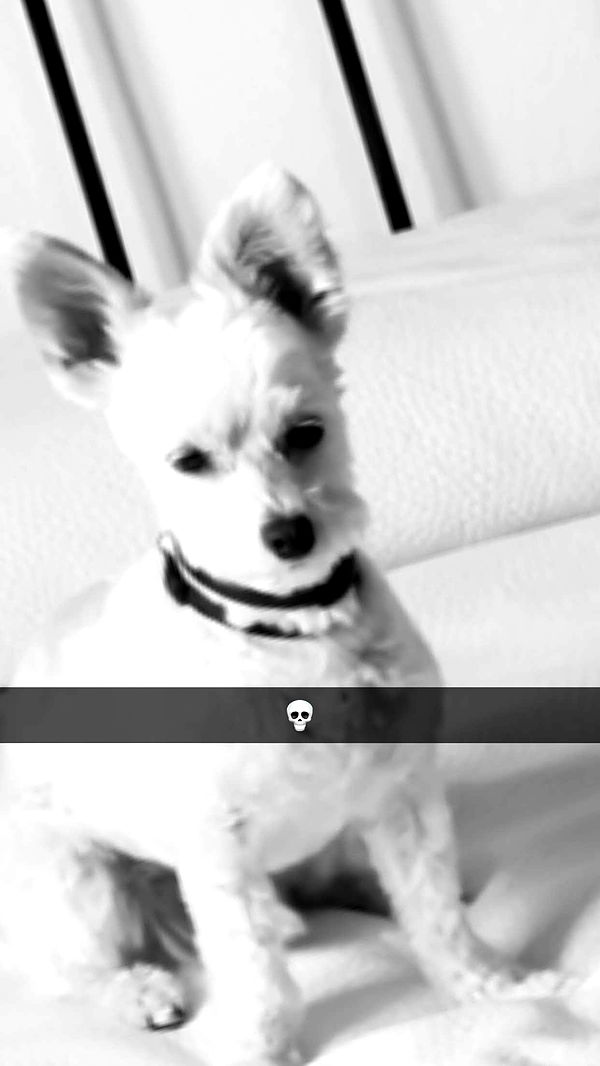 mathilda_bergs image ~ Altpins